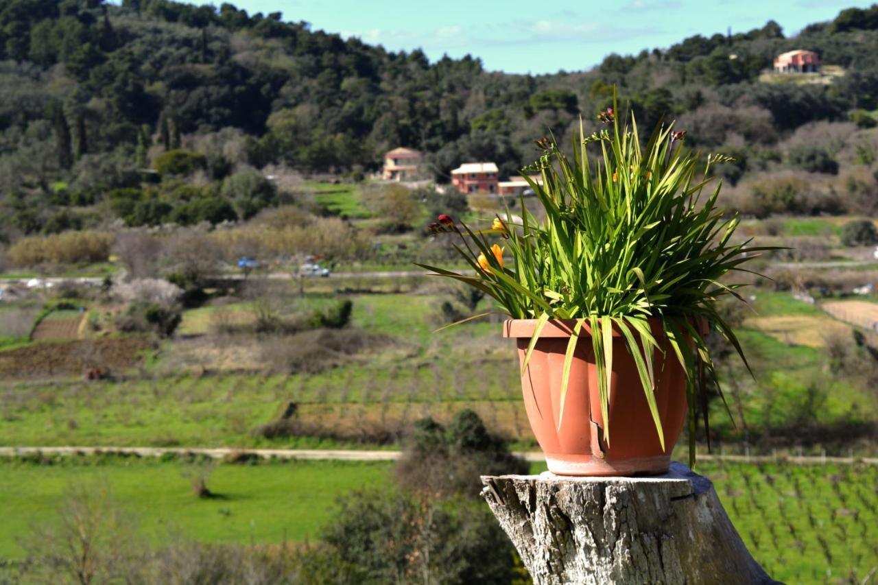 Villa Skafonas Sinarádes Exterior foto